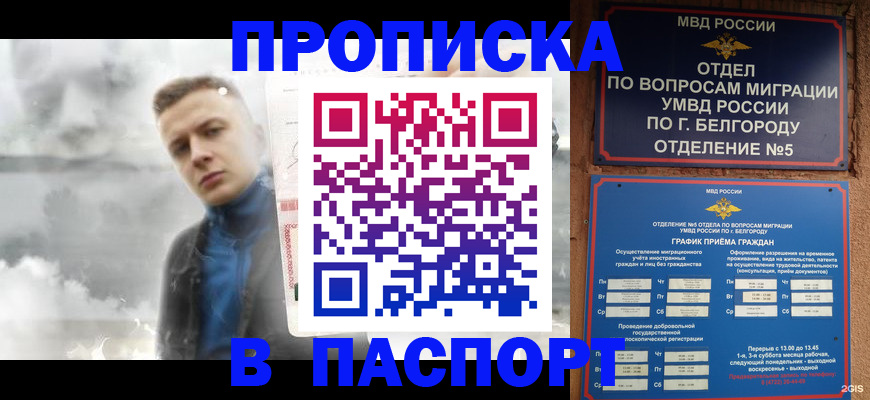 временная регистрация в Кимрах